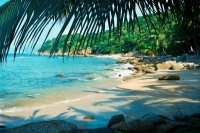 Наш гей отдых в Пуэрто-Ваяртэ