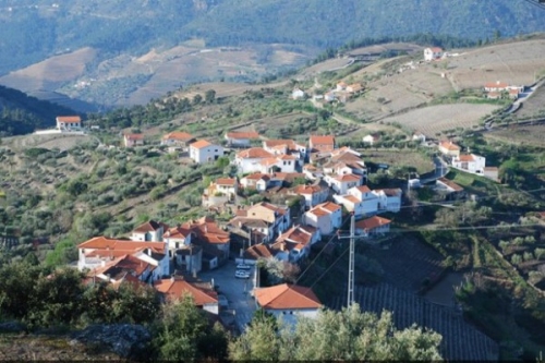 Британский гей был убит после, того как пригласил парня к себе домой для секса